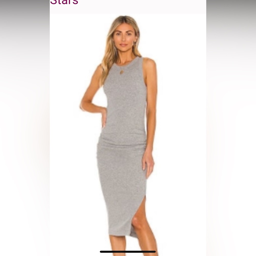 Michael Stats wren dress